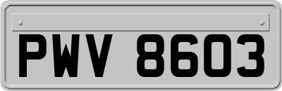 PWV8603