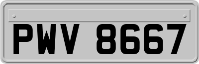 PWV8667