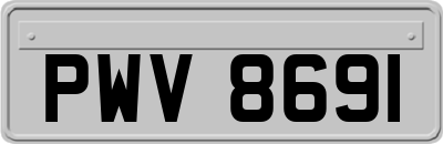 PWV8691