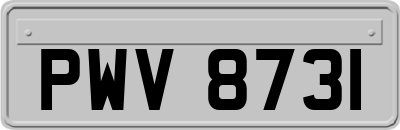 PWV8731