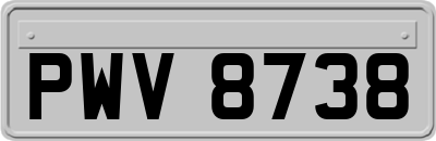 PWV8738