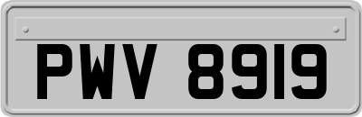 PWV8919