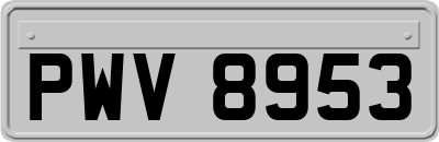 PWV8953