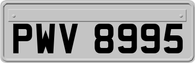 PWV8995