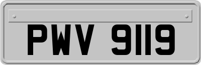 PWV9119