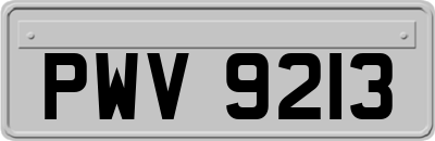 PWV9213