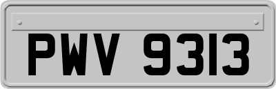 PWV9313