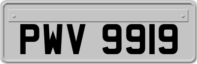 PWV9919