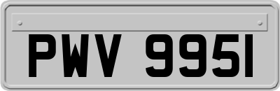 PWV9951