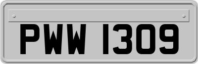 PWW1309