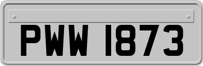 PWW1873