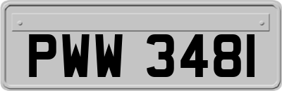 PWW3481