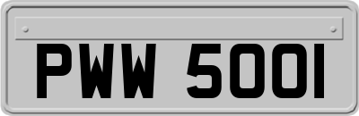 PWW5001