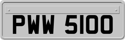 PWW5100