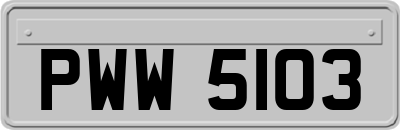 PWW5103