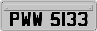 PWW5133