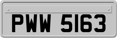 PWW5163