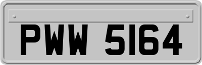 PWW5164