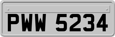 PWW5234