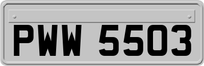 PWW5503