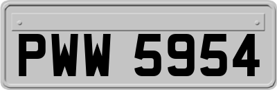 PWW5954