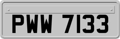 PWW7133