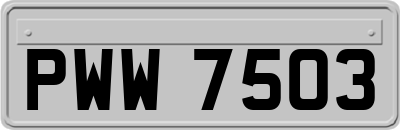 PWW7503