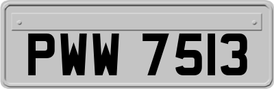 PWW7513