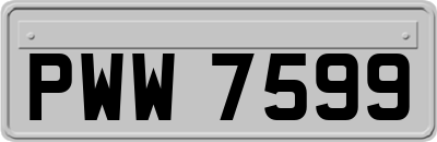 PWW7599