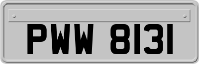 PWW8131