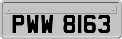 PWW8163