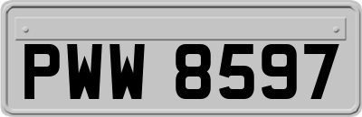 PWW8597