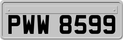 PWW8599