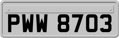 PWW8703