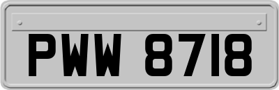 PWW8718