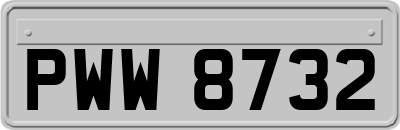 PWW8732