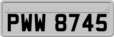 PWW8745