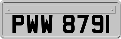 PWW8791