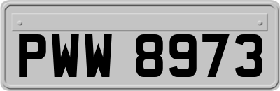 PWW8973