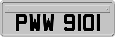 PWW9101