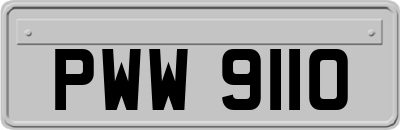 PWW9110