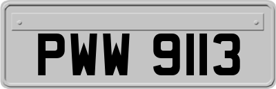 PWW9113