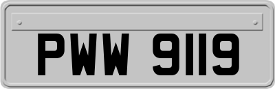 PWW9119