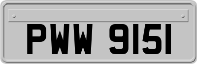 PWW9151