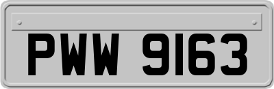 PWW9163