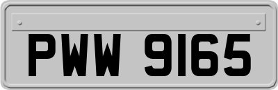 PWW9165