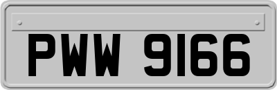 PWW9166