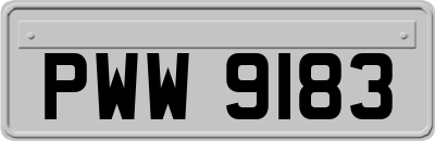 PWW9183