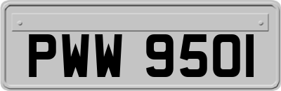 PWW9501