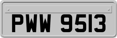 PWW9513